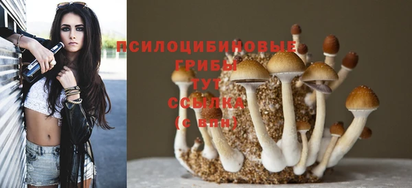 МДПВ Алзамай