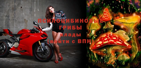 МДПВ Алзамай