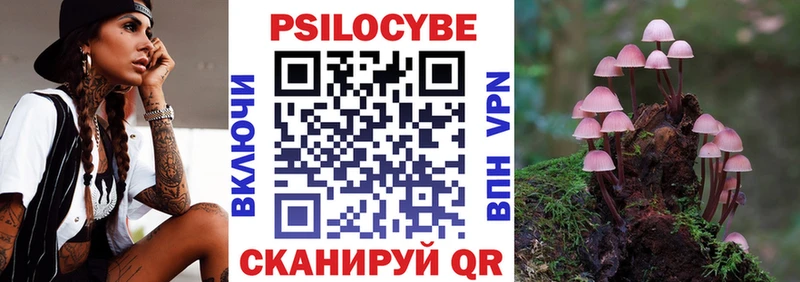Галлюциногенные грибы Cubensis  наркошоп  Бердск 