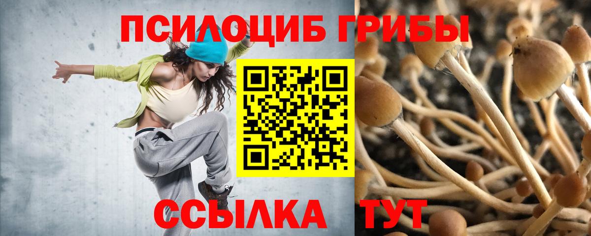 Галлюциногенные грибы GOLDEN TEACHER Бердск