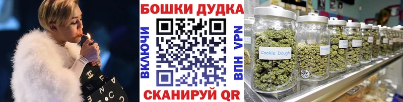 Конопля план  Бердск 